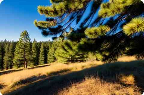 問題一：電腦上的街機(jī)游戲怎么設(shè)置？