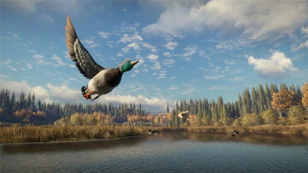 呼喚荒野游戲攻略_荒野的呼喚手游下載_荒野的呼喚游戲