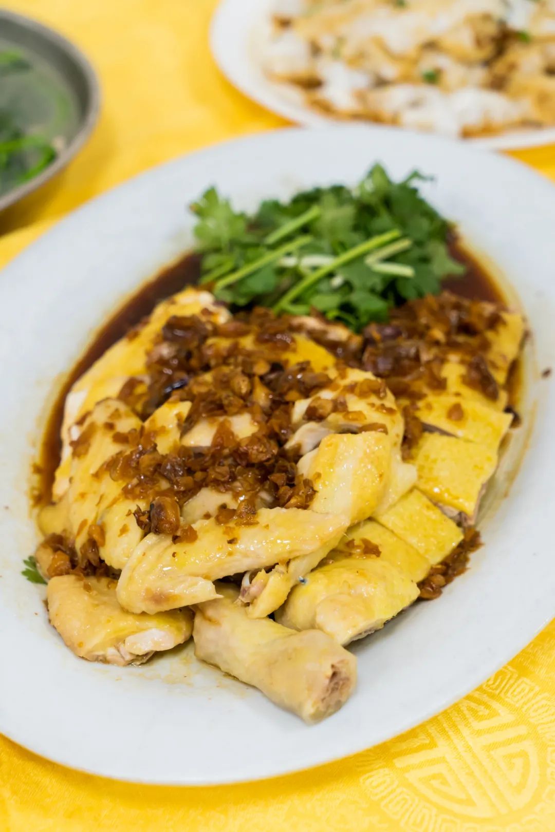 符號(hào)大全花樣符號(hào)吃雞_特殊符號(hào)網(wǎng)名吃雞_吃雞名符號(hào)