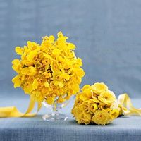 30個(gè)好聽(tīng)又小眾的英文名